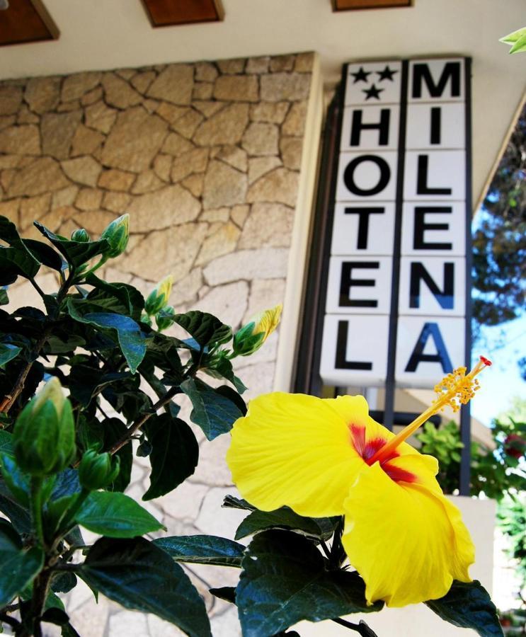 Hotel Milena Rimini Ngoại thất bức ảnh